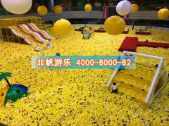 百萬(wàn)海洋球池設(shè)備廠家哪家好？嘉年華投資需要多少錢？